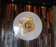 the cat cabin jakarta