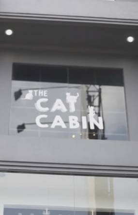 the cat cabin jakarta